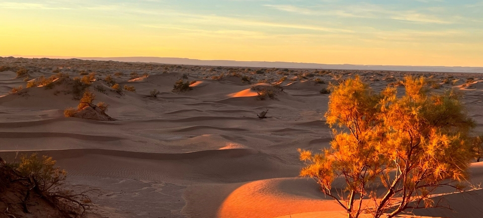 costellazioni spirituali - il deserto