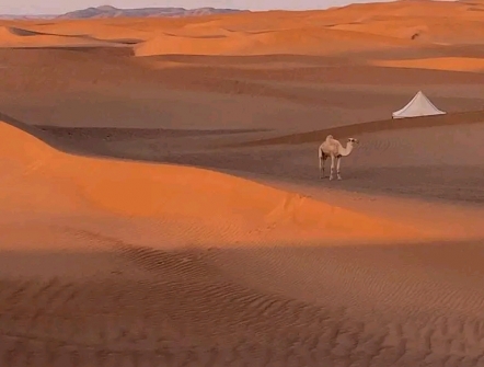 costellazioni spirituali biella