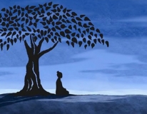 Vivere Zen - cambiare in consapevolezza